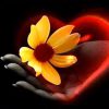 Le sens de la vie…. et le don de l’amour inconditionnel