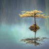 The Bread You Cast Upon the Waters Returns to You