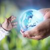 Le Manifeste de la Nouvelle Terre – Invitation à la co-création d’ici le 3 janvier