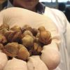 Scientists Discover Berries That Kill SKIN Cancer Cells in Minutes