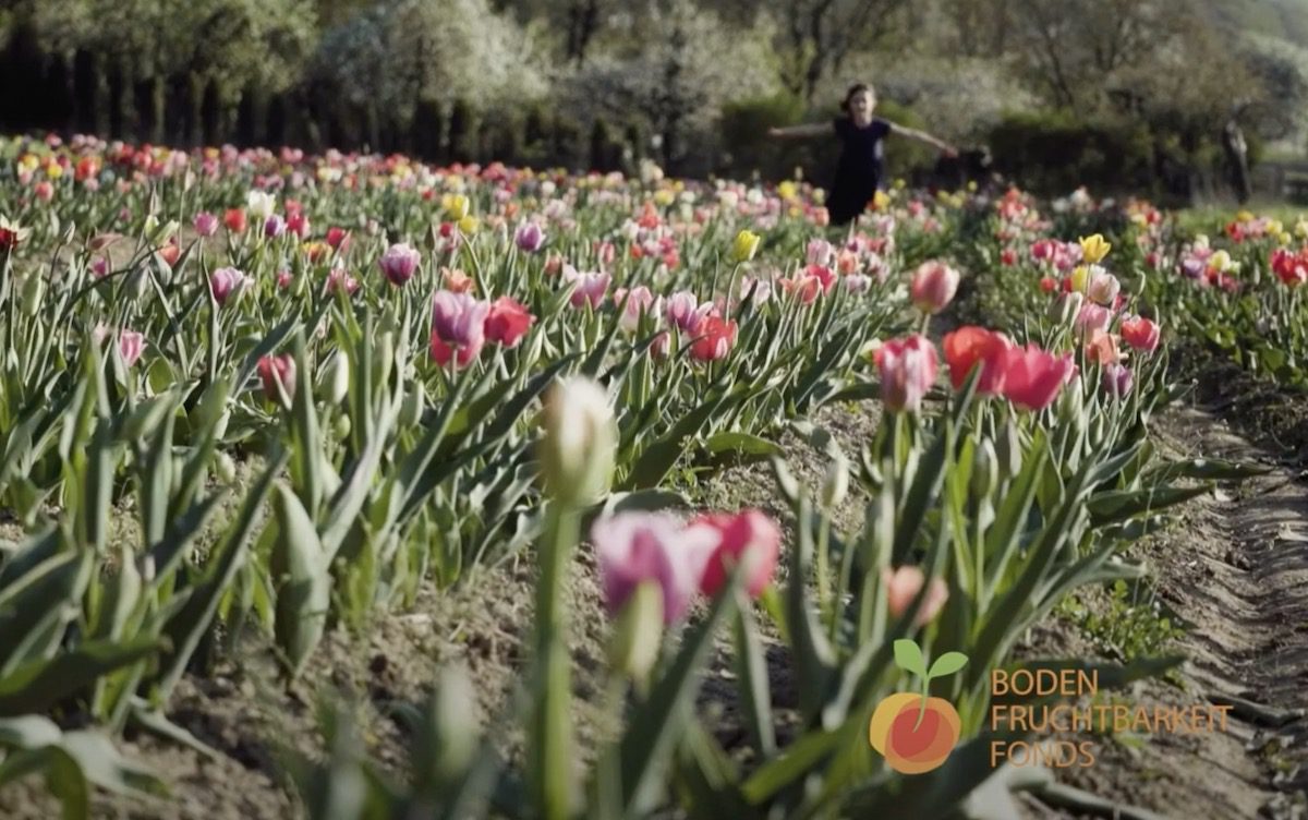 Des sols fertils – soutenons la création de l’humus