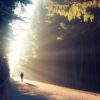Das Licht am Ende des Tunnels