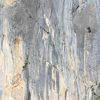 Fabian Buhl enchaine « Ganesha », 8c, 180 m, en solitaire