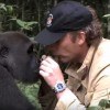 The most touching video with a Gorilla