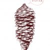 Pine cone’s voice… nature is speaking to us. A call of contributing in this planetary action