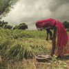 La Soif du Monde – Un film bouleversant sur la situation de l’eau dans le monde