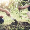 S’offrir du bien-être et planter des arbres – le calendrier de l’avent ‘Les étincelles de Noël’