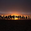 AVIS A LA POPULATION !!! : Epidémie de bonheur, encore plus dangereuse que le Corona Virus !